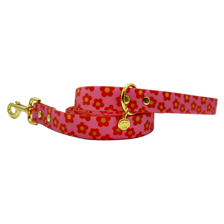 Wildflower - Splashproof Dog Leash