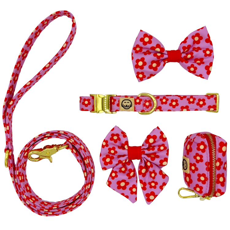 Deluxe Bundle - Wildflower