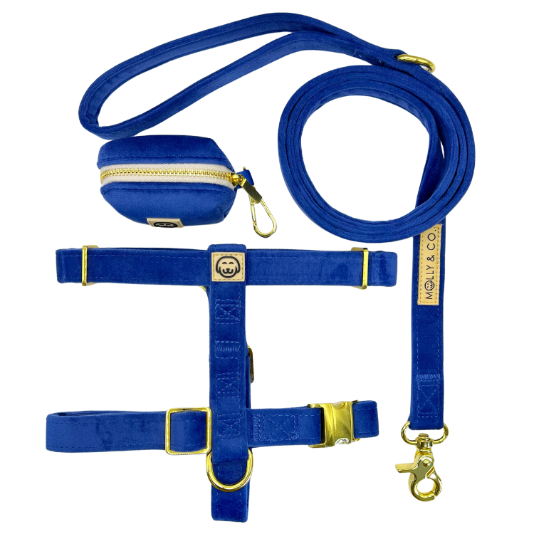 Royal Velvet - Walking Bundle