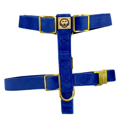 Royal Velvet - Adjustable Strap Dog Harness