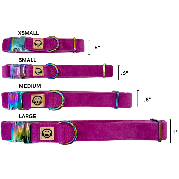 Plum Velvet- Dog Collar