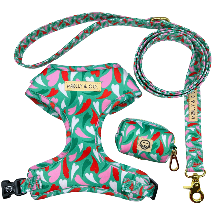 Amore - Walking Bundle