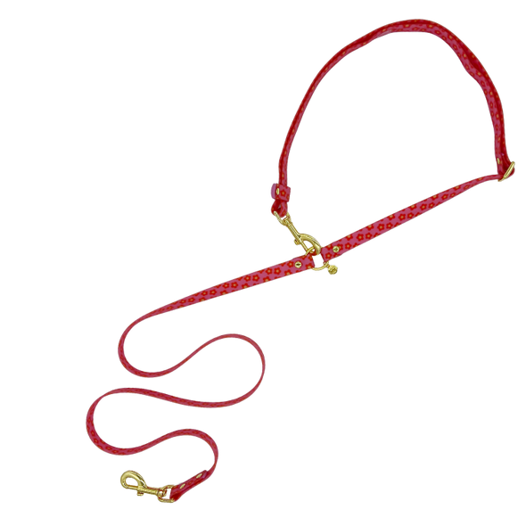 Wildflower - Splashproof Handsfree Dog Leash
