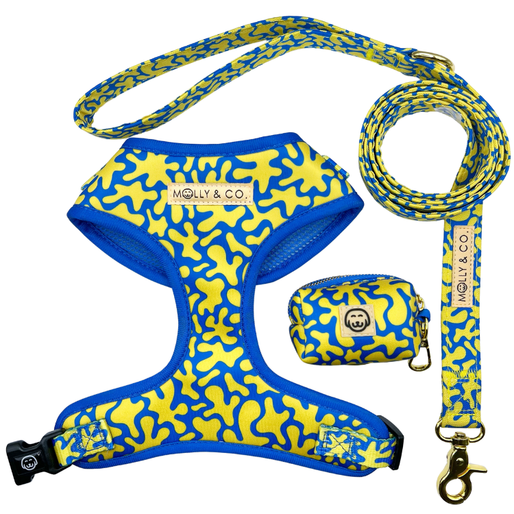 Neptune - Walking Bundle