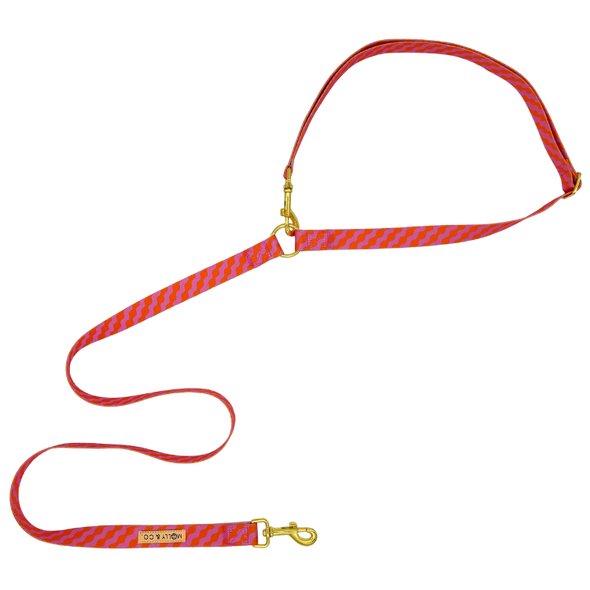 Mango - Handsfree Dog Leash