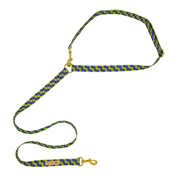 Fetch Master - Handsfree Dog Leash