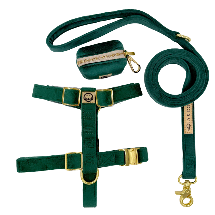 Emerald Velvet - Walking Bundle