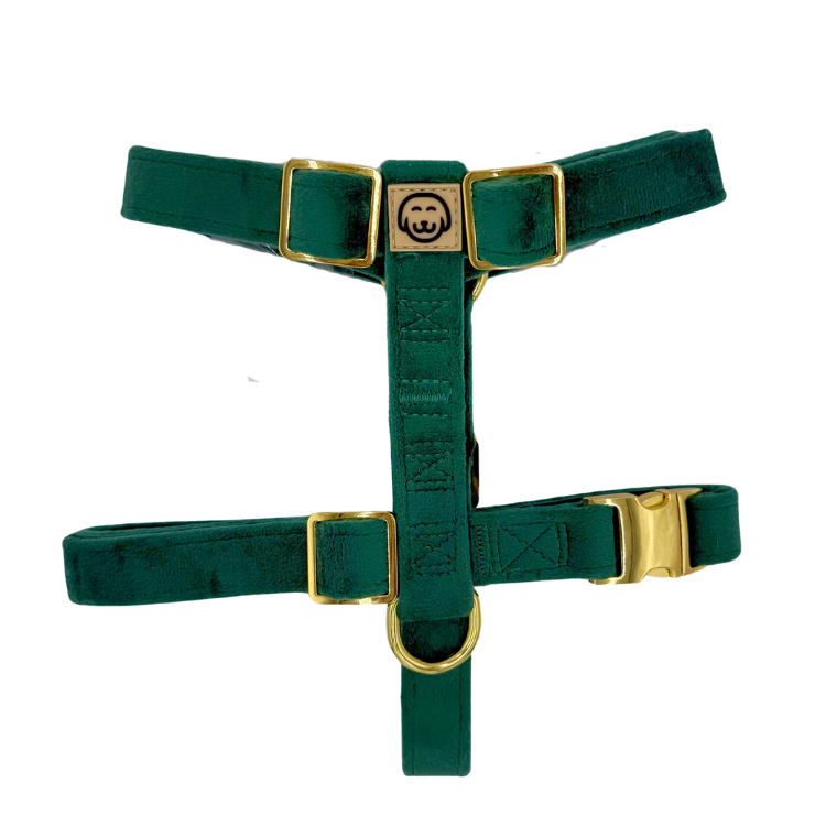 Emerald - Adjustable Strap Dog Harness