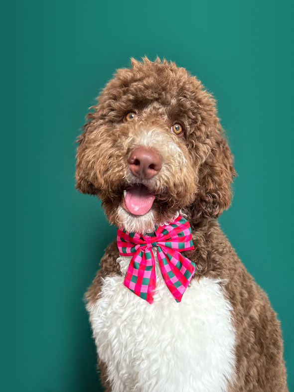 Giftwrap Plaid - Dog Sailor Bowtie