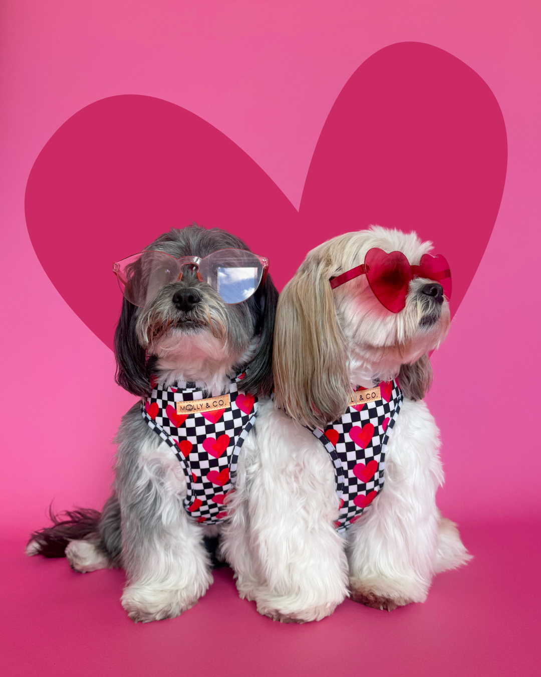 Lovebug - Walking Bundle