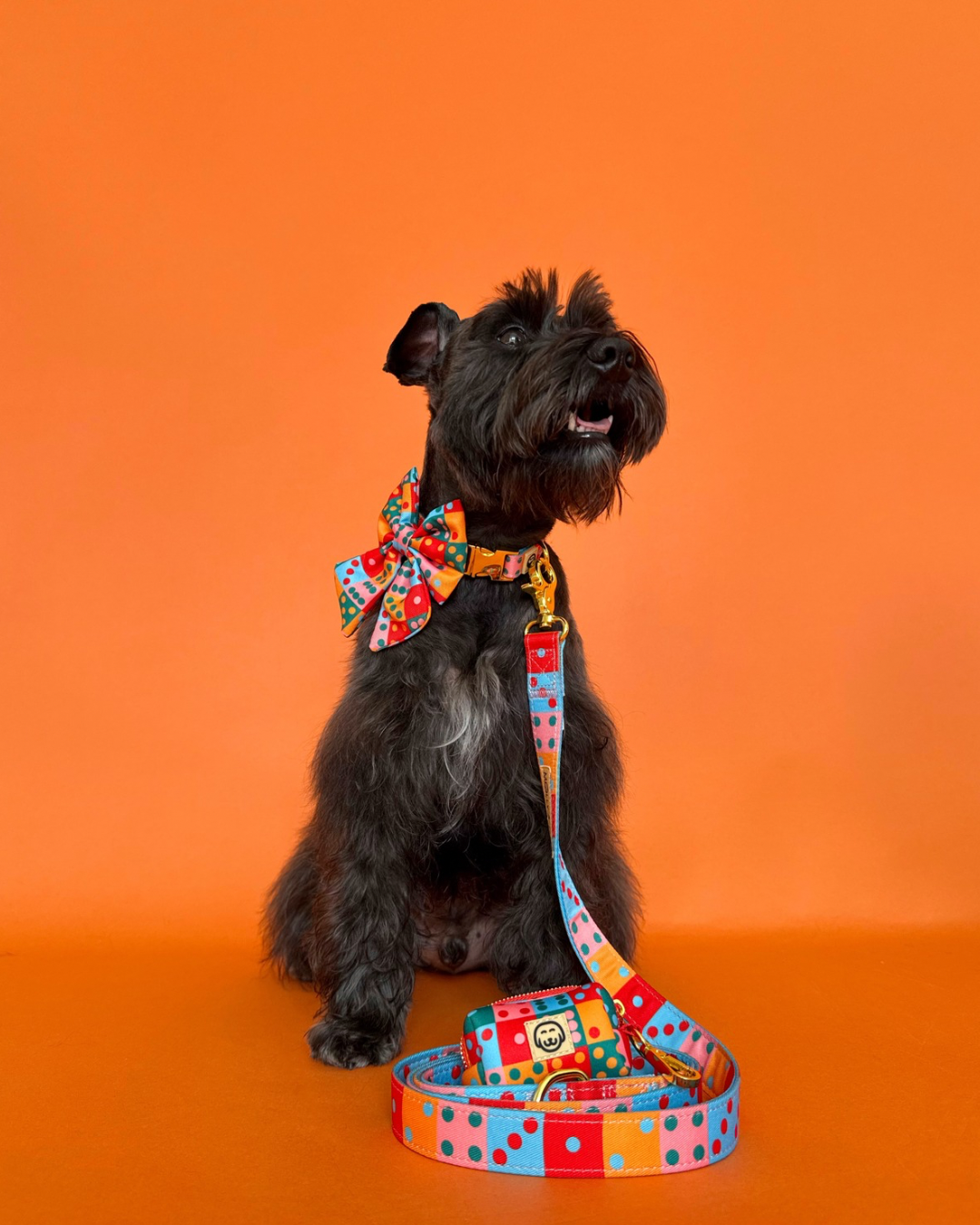 Deluxe Bundle - Doble Seis