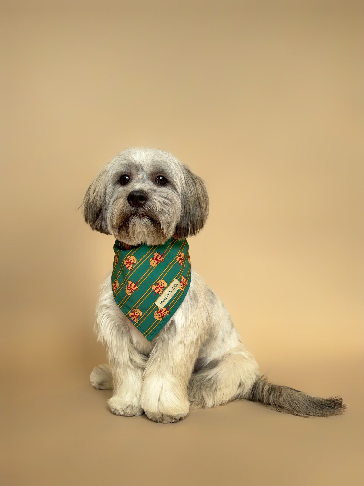 Merrywood - Reversible Dog Bandana
