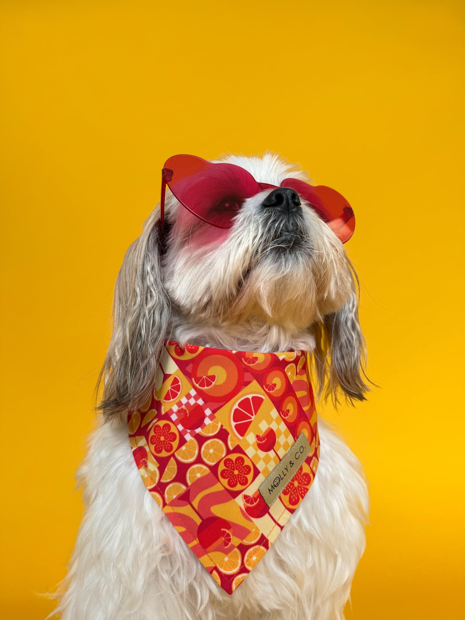 Spritz - Dog Bandana