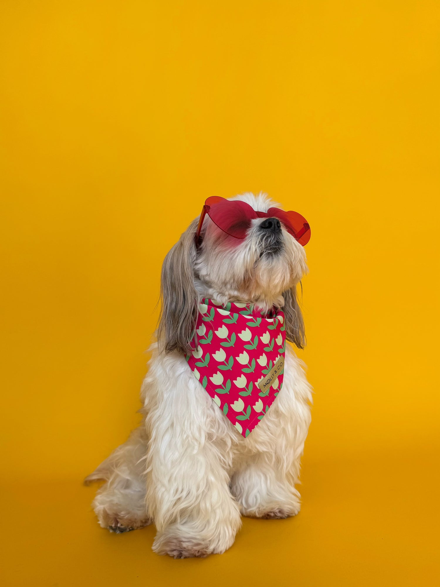 Tulip - Dog Bandana