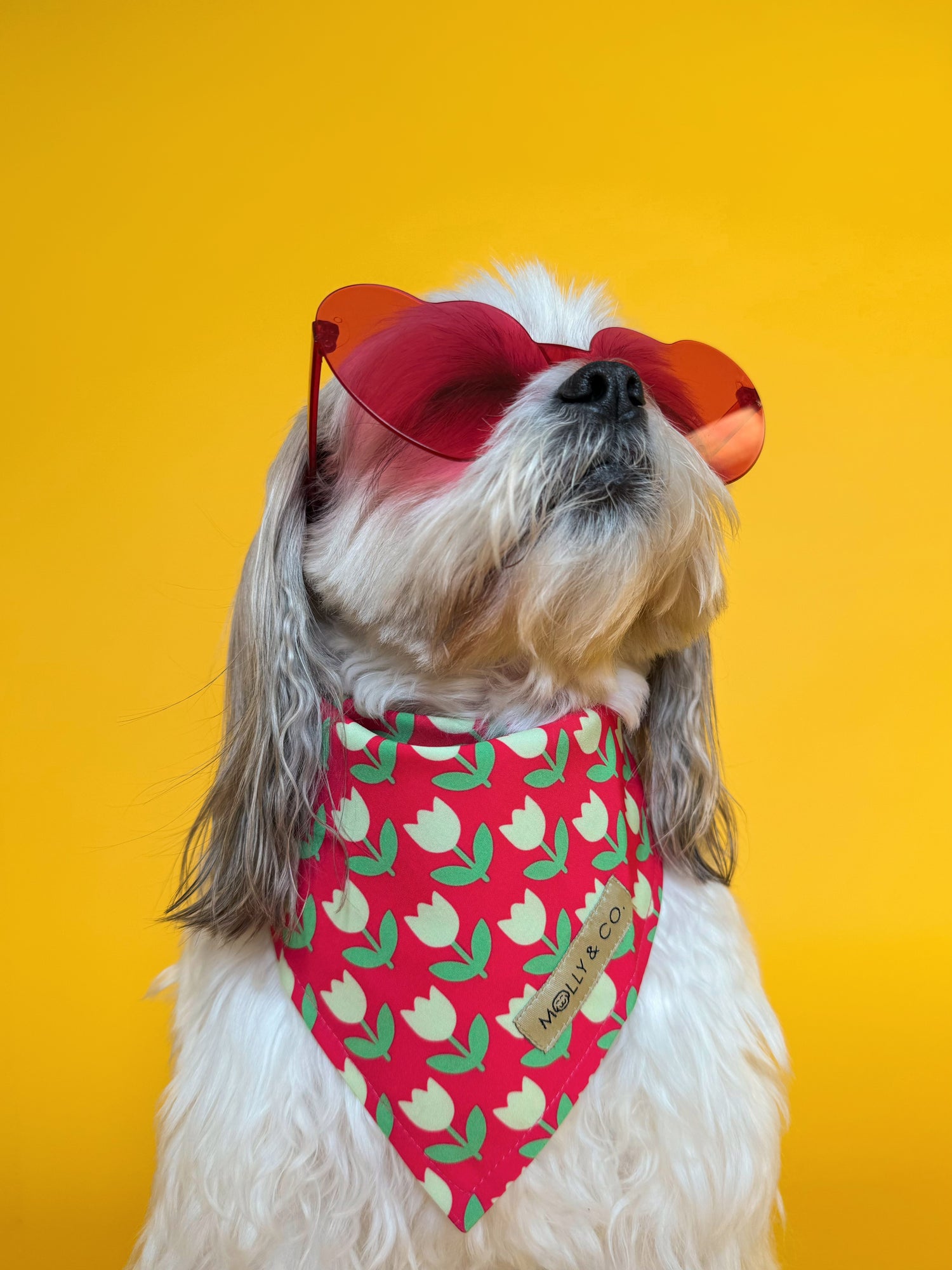 Tulip - Dog Bandana