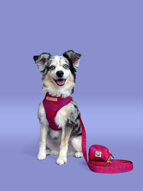 Mon Chéri - Dog Poop Bag Holder