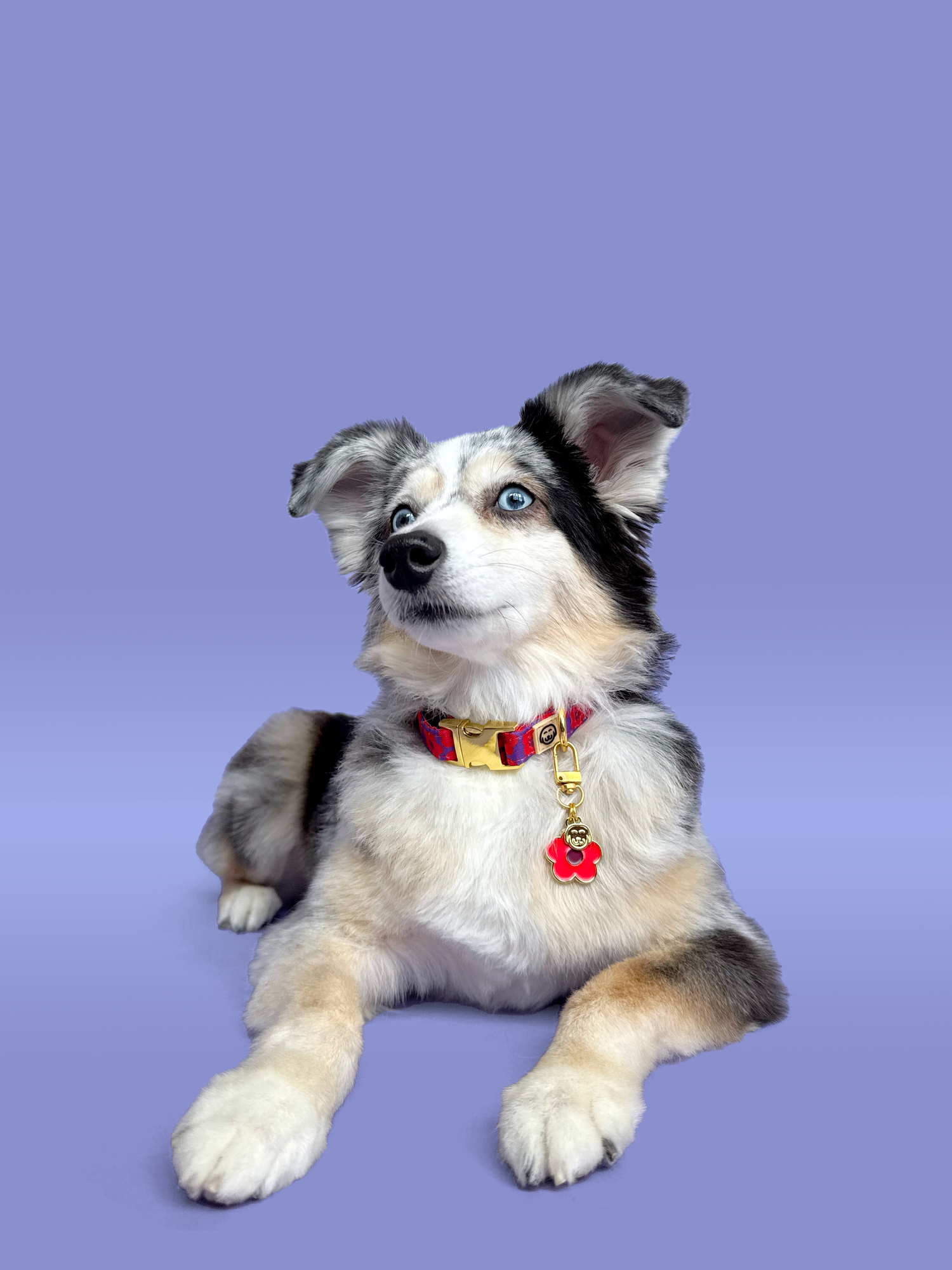 Mon Chéri - Collar Charm