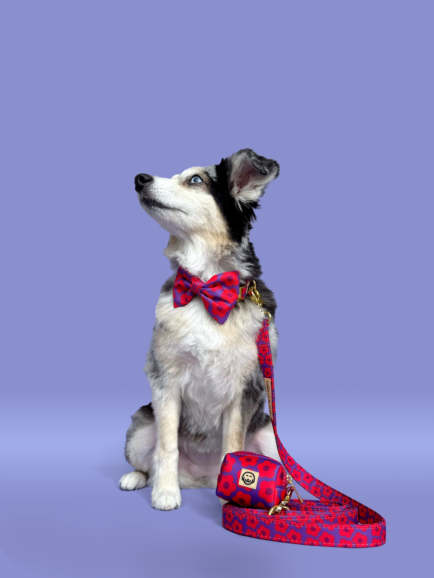 Mon Chéri - Dog Poop Bag Holder