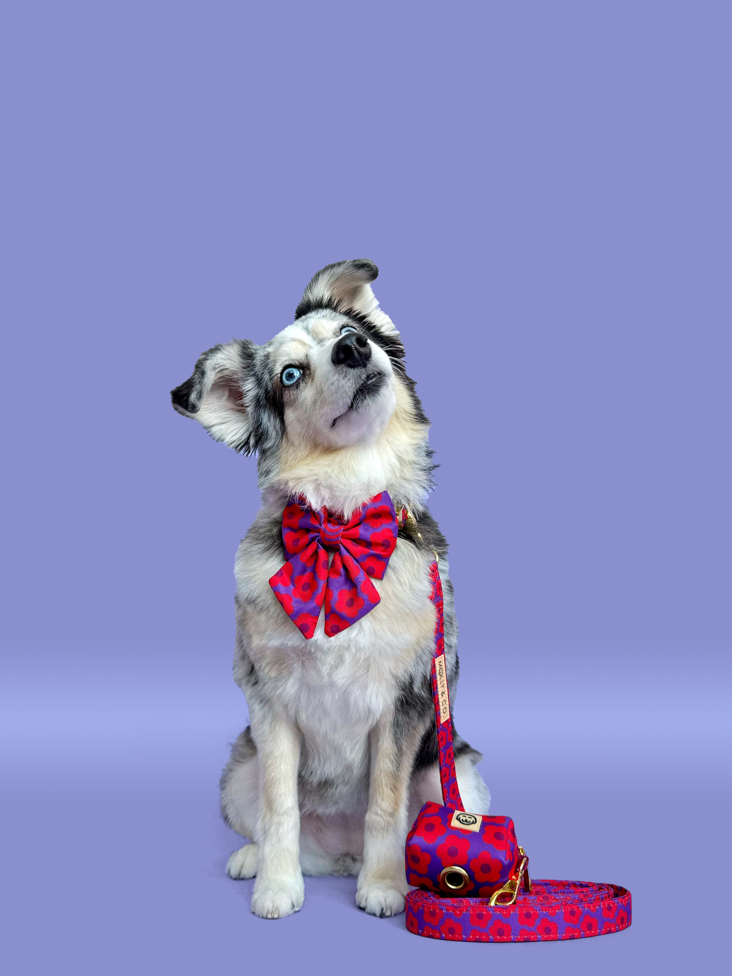 Mon Chéri - Dog Leash