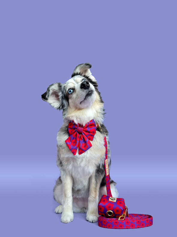 Mon Chéri - Dog Sailor Bowtie