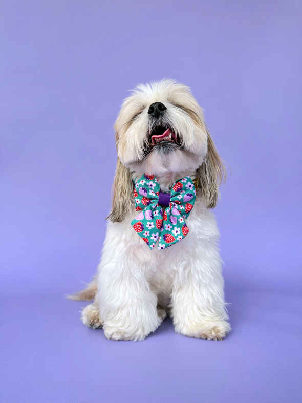 Strawberry - Dog Sailor Bowtie