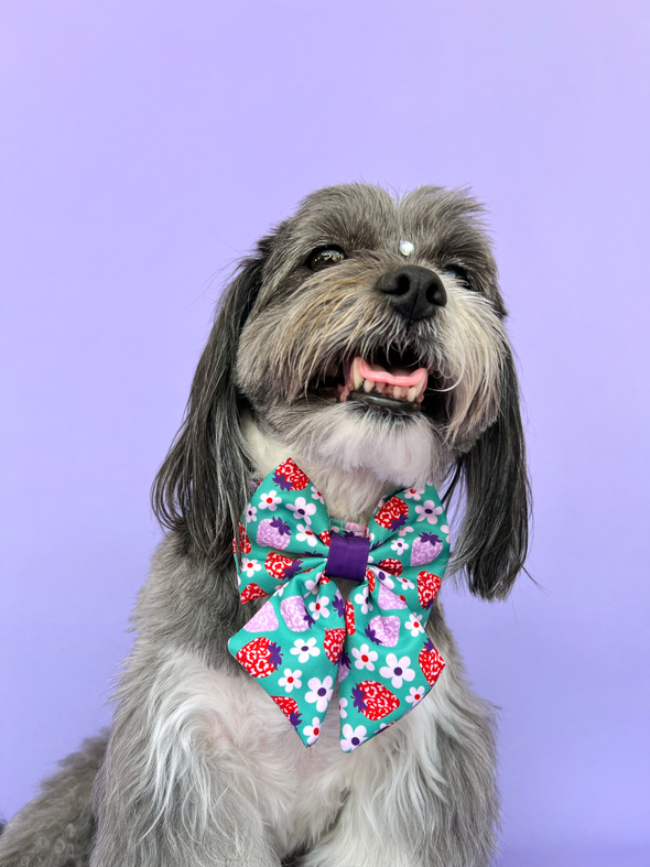 Strawberry - Dog Sailor Bowtie