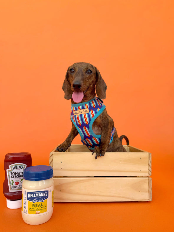Wieners - Adjustable Dog Harness