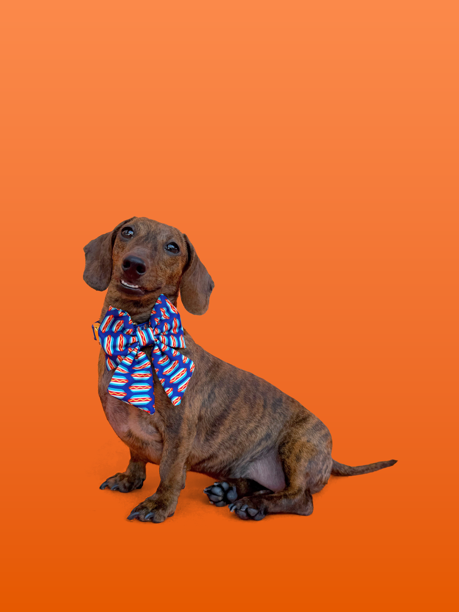 Wieners - Dog Sailor Bowtie