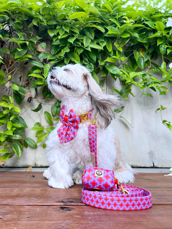 Venezia - Dog Poop Bag Holder