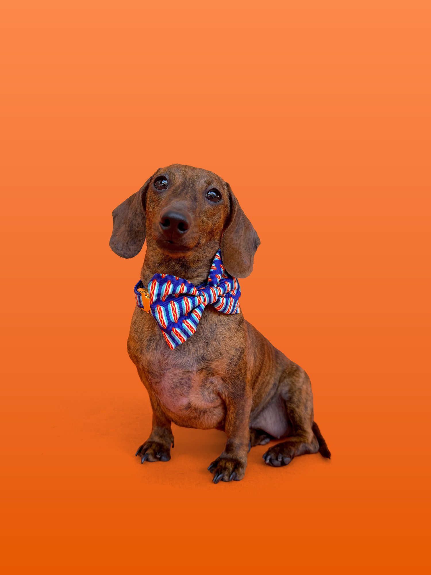 Wieners - Dog Bowtie