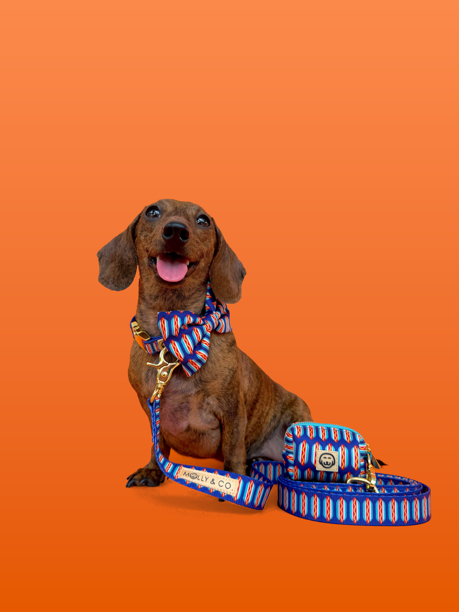 Wieners - Dog Leash