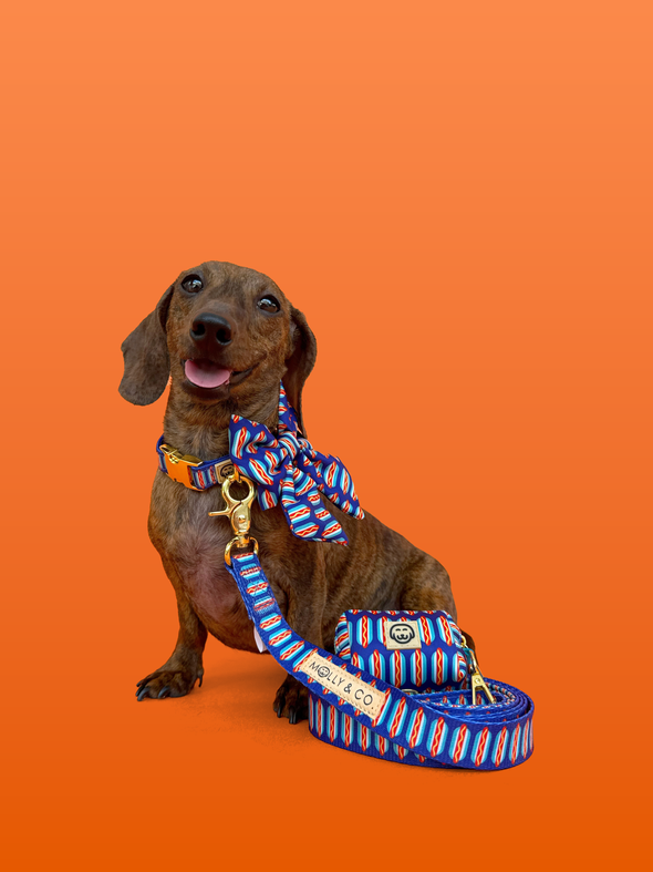 Wieners - Dog Leash