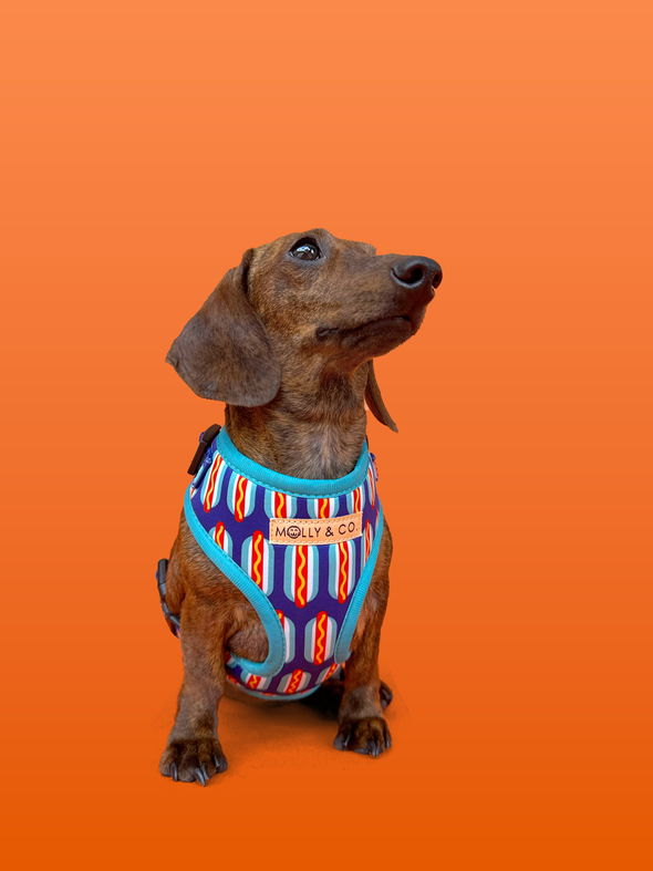 Wieners - Adjustable Dog Harness