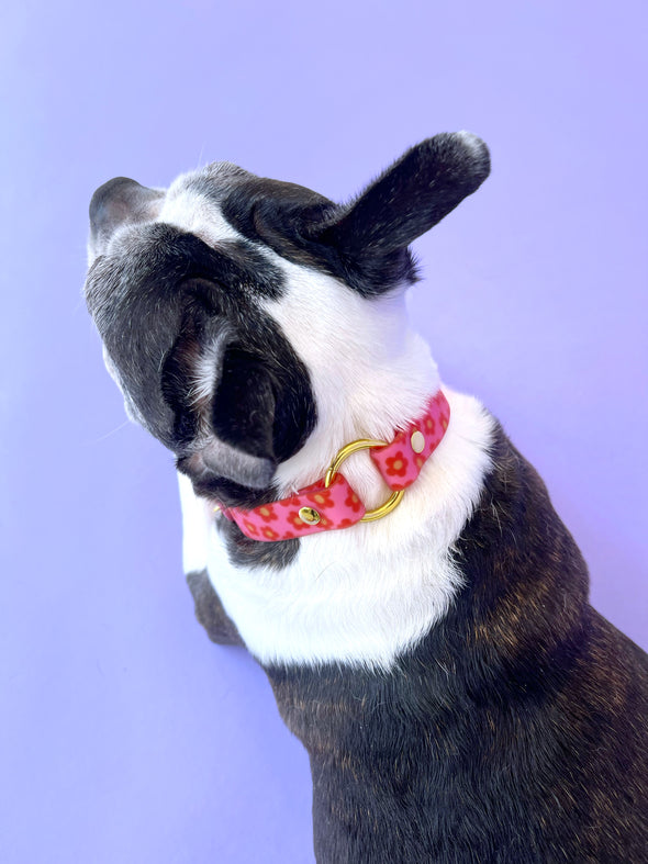 Wildflower - Splashproof Dog Collar