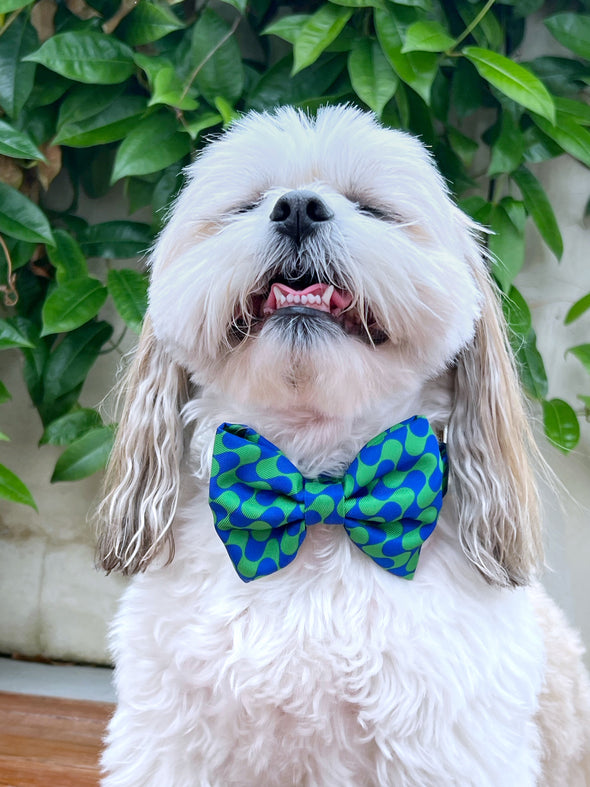 Forest - Dog Bowtie