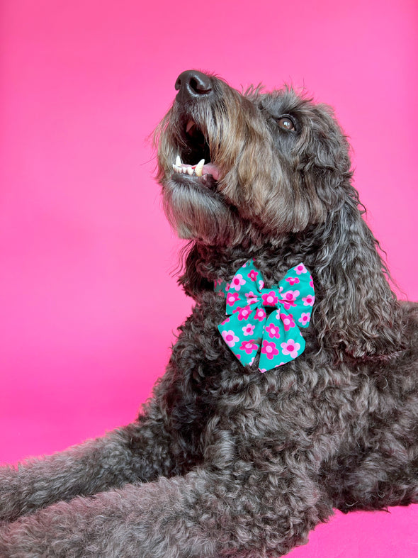 Petunia - Dog Sailor Bowtie