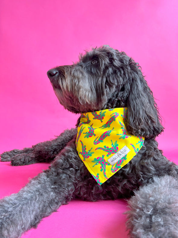 Gator Glitz - Dog Bandana