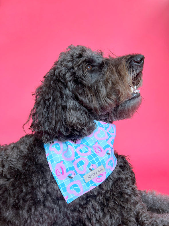 Splash Zone - Dog Bandana