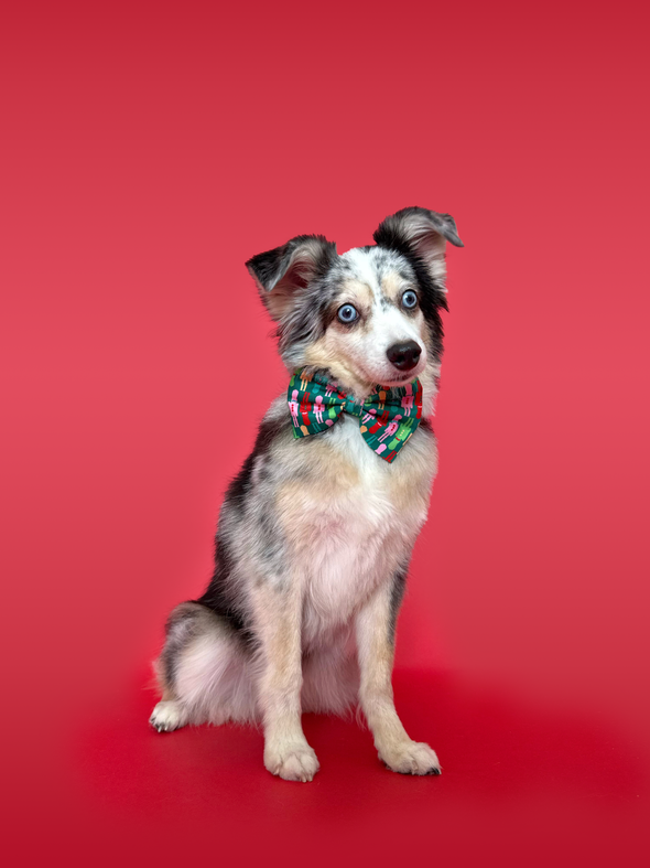 Nutcracker - Dog Bowtie