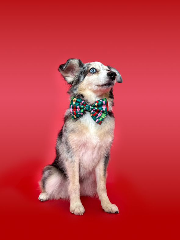 Nutcracker - Dog Bowtie