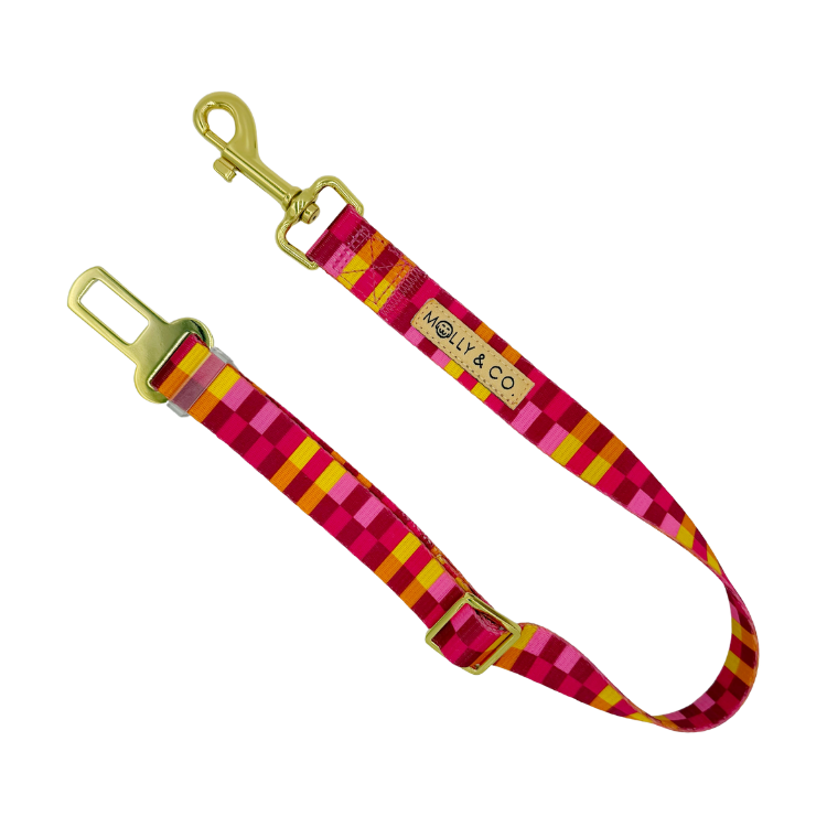 Odessa - Dog Seatbelt
