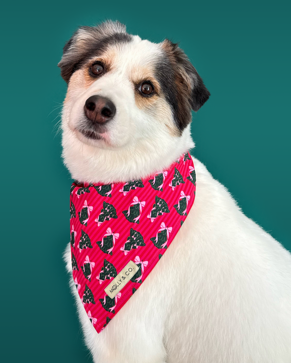Sugarplum Trees + Giftwrap Plaid - Reversible Dog Bandana