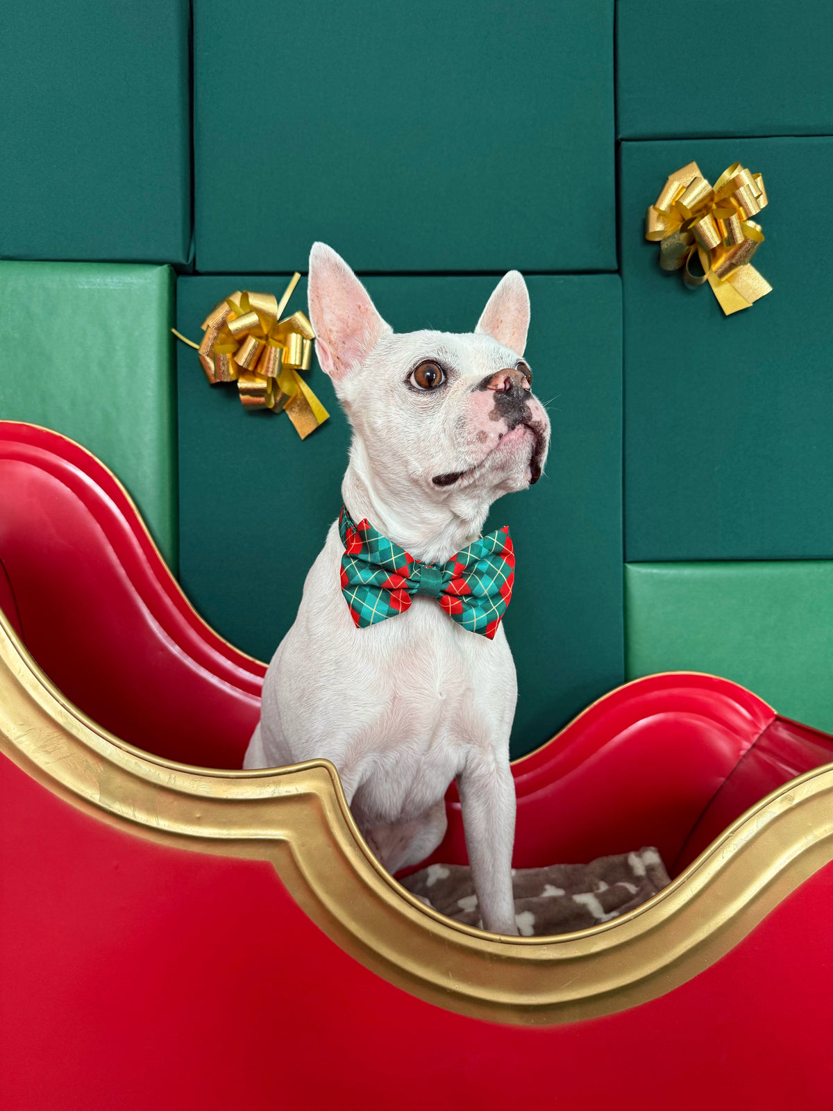Evergreen Argyle - Dog Bowtie