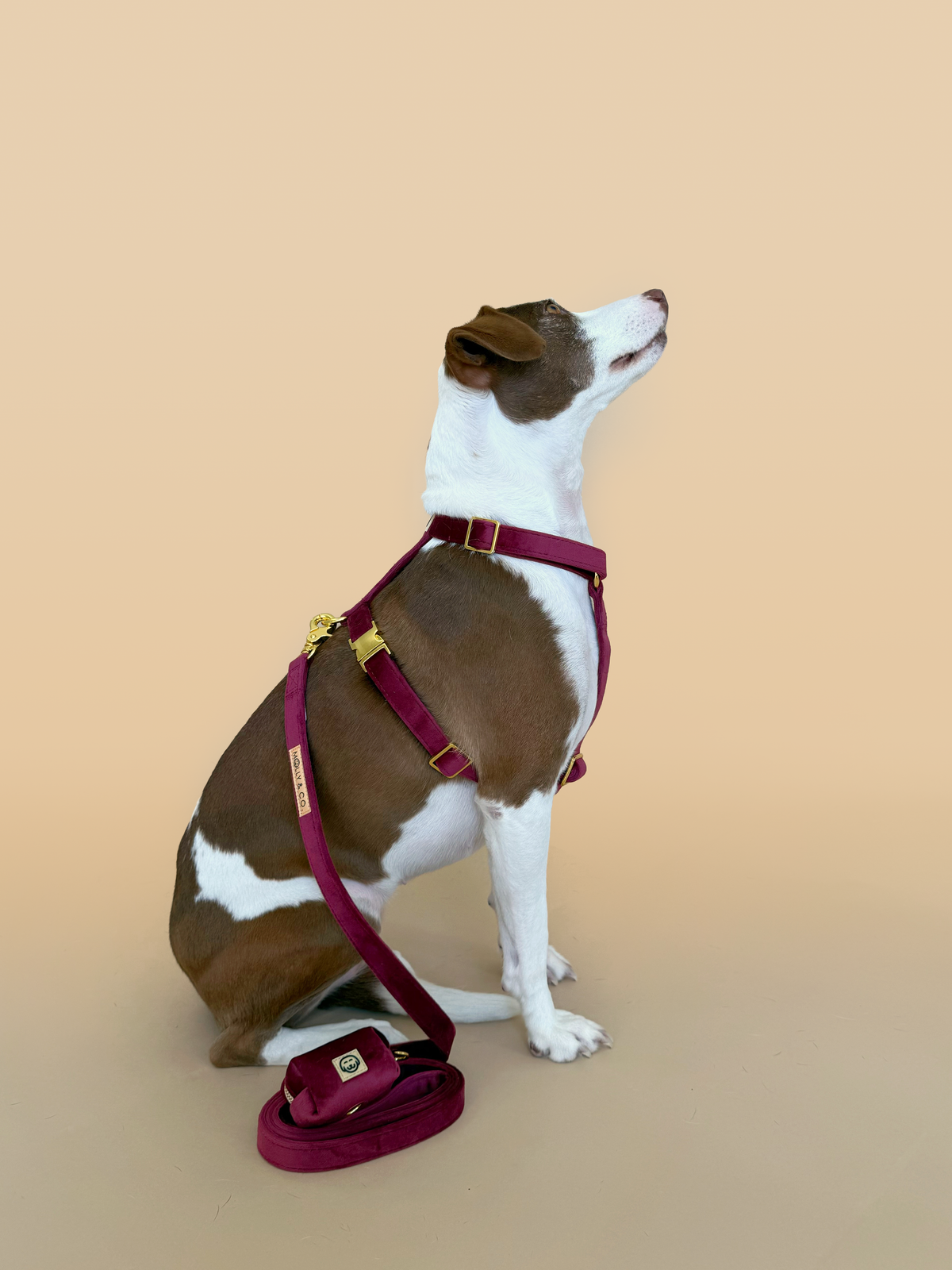 Merlot Velvet - Walking Bundle