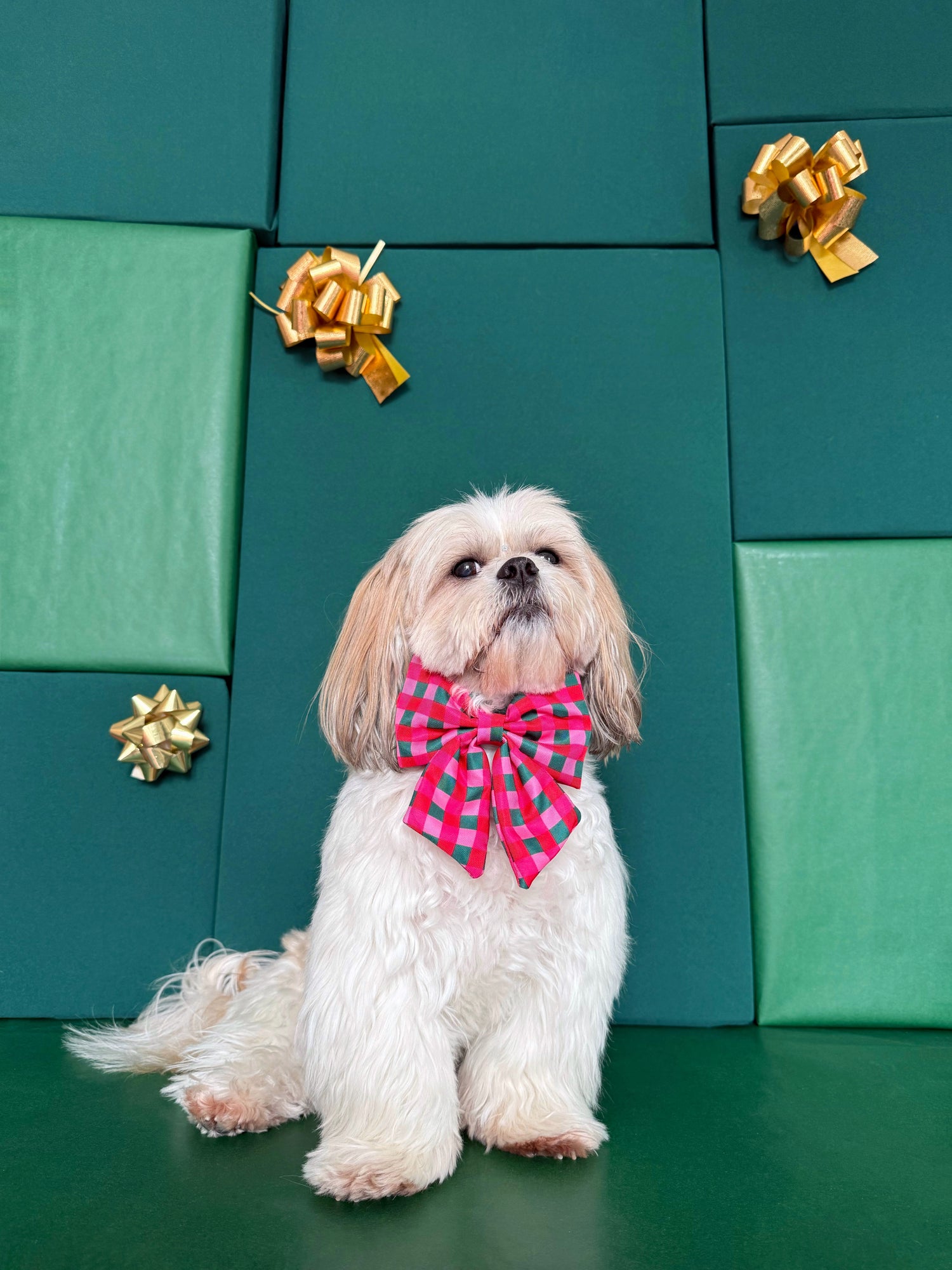 Giftwrap Plaid - Dog Sailor Bowtie