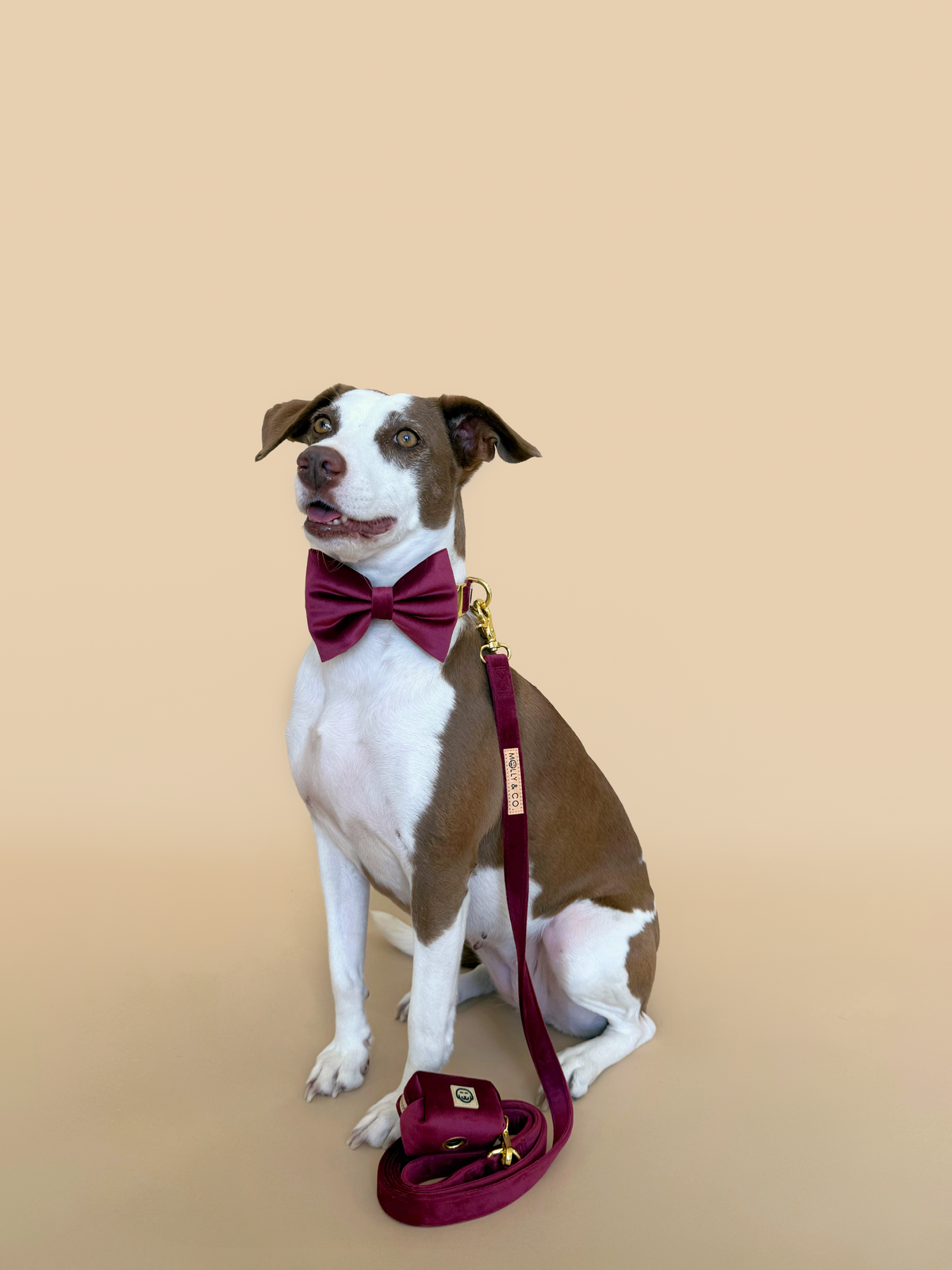 Deluxe Bundle - Merlot Velvet