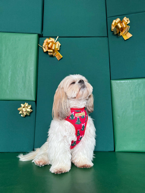 Sugarplum Trees - Adjustable Dog Harness