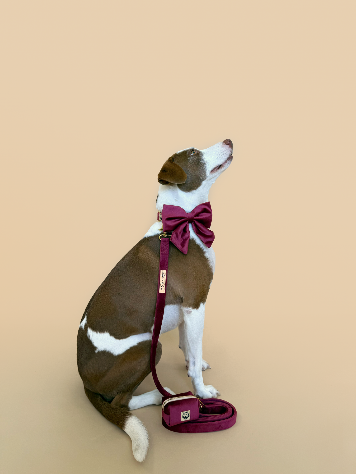 Merlot Velvet - Dog Poop Bag Holder