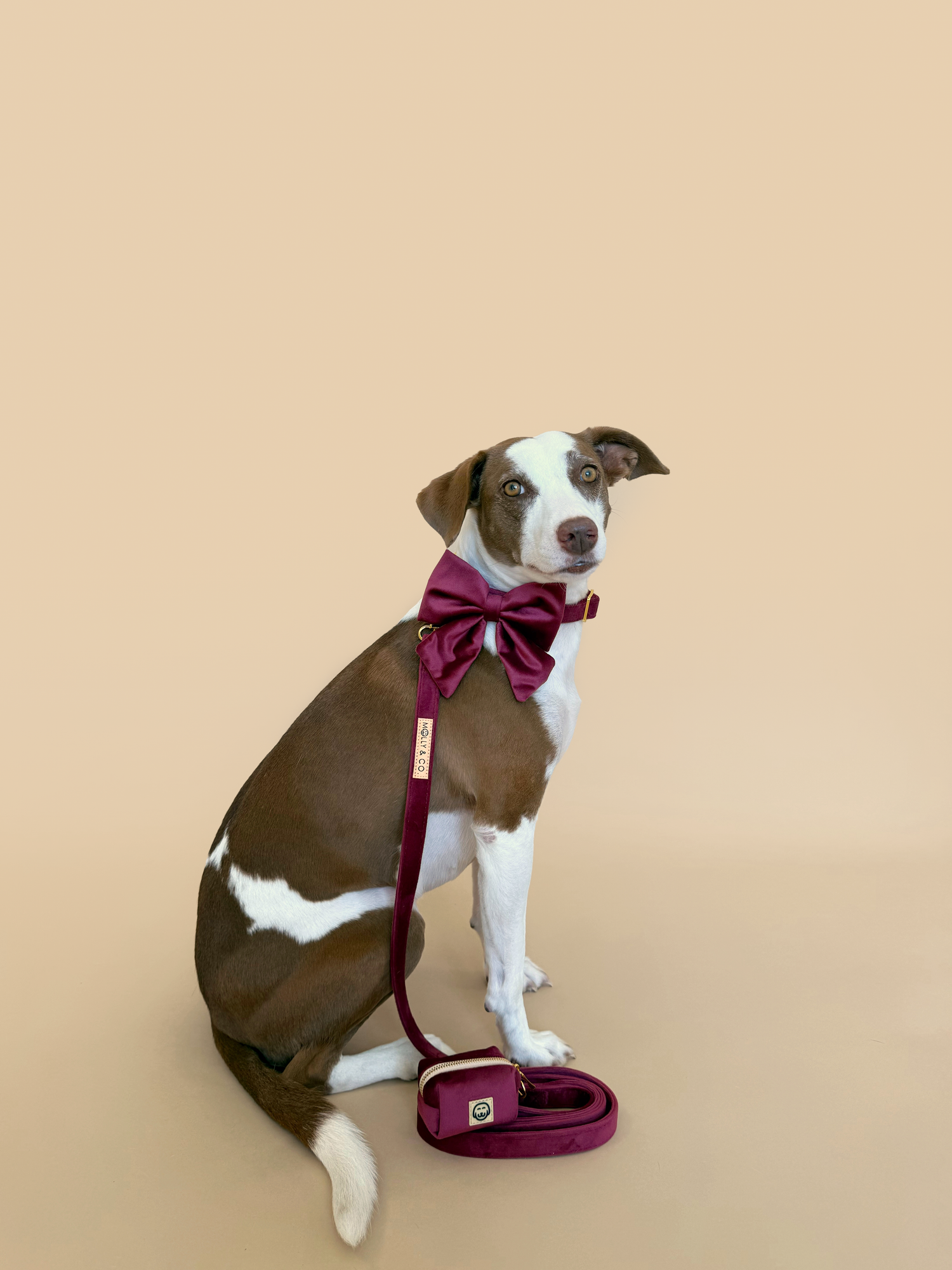 Deluxe Bundle - Merlot Velvet