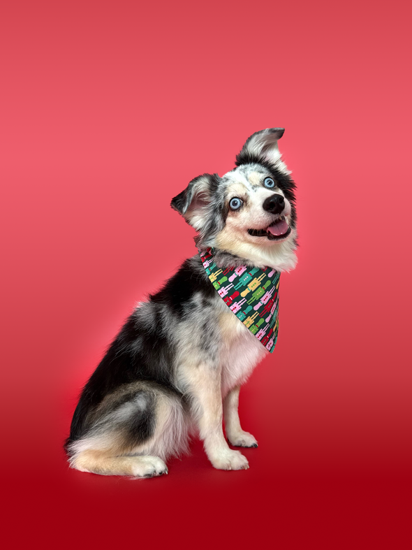 Evergreen Argyle + Nutcracker - Reversible Dog Bandana